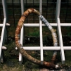 Springs