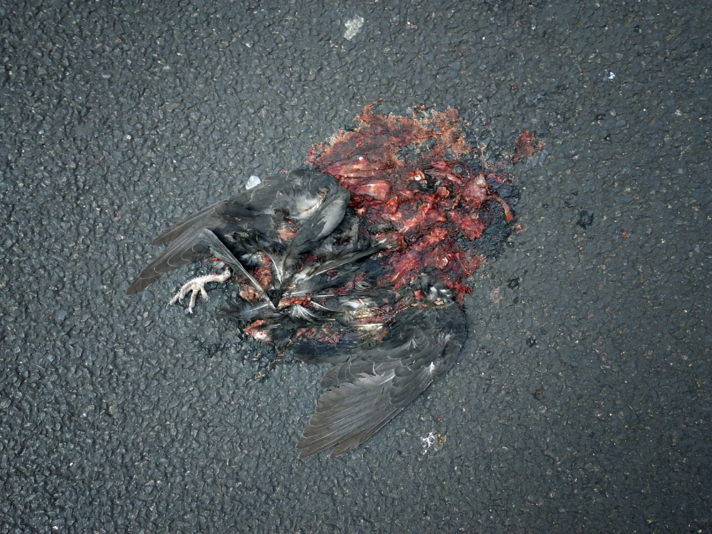 Crash