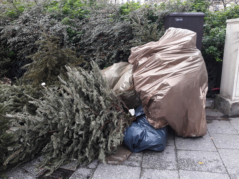 Every year the same again