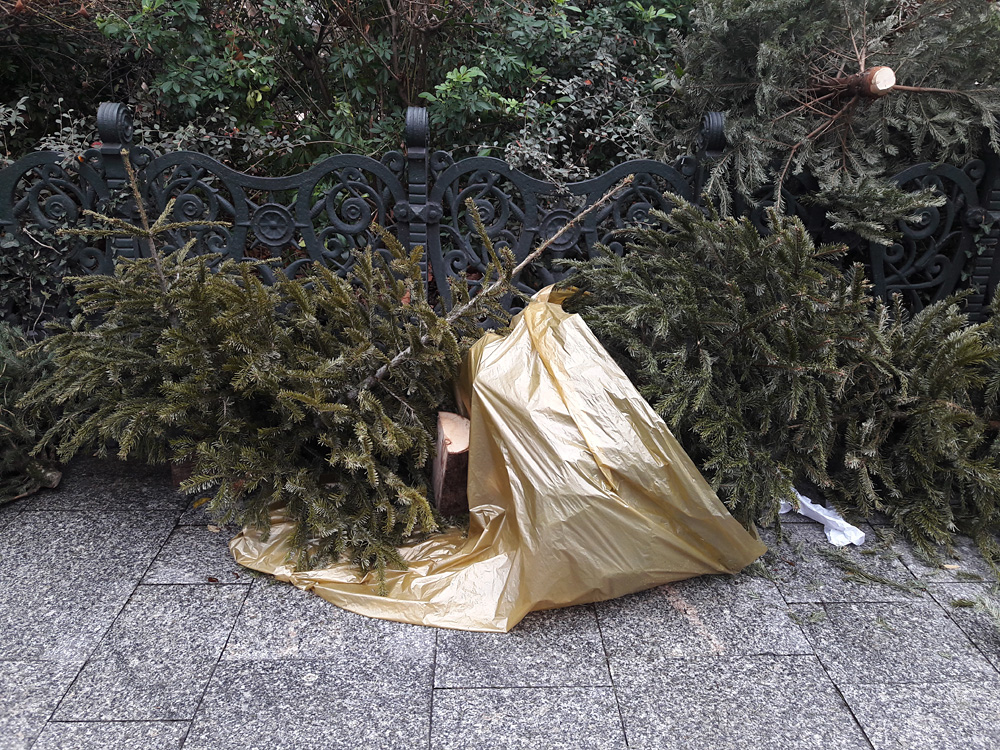 Every year the same again