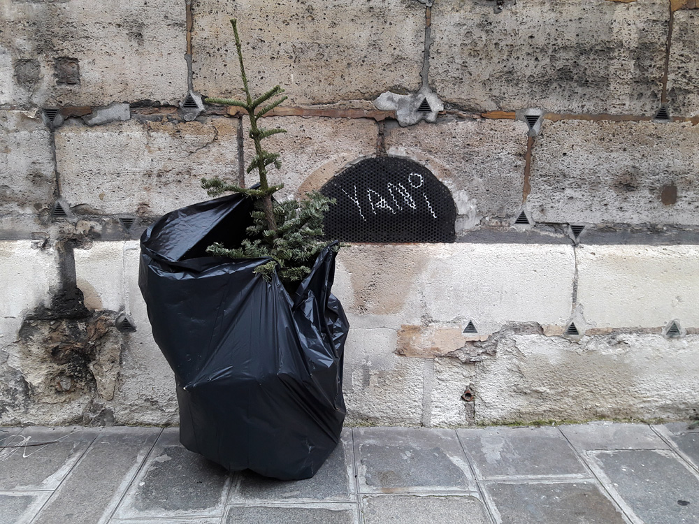 Every year the same again