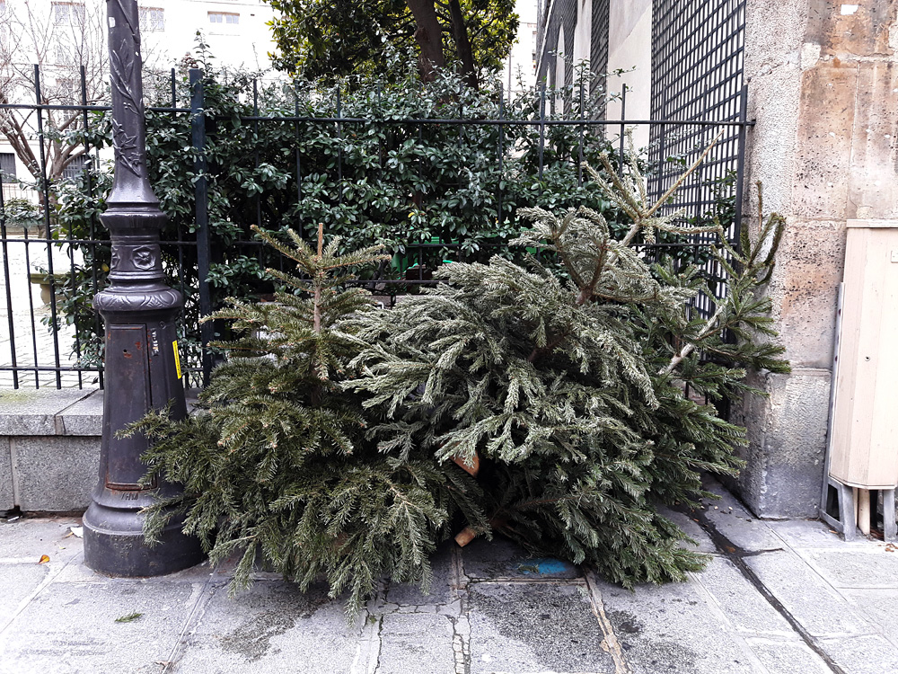 Every year the same again