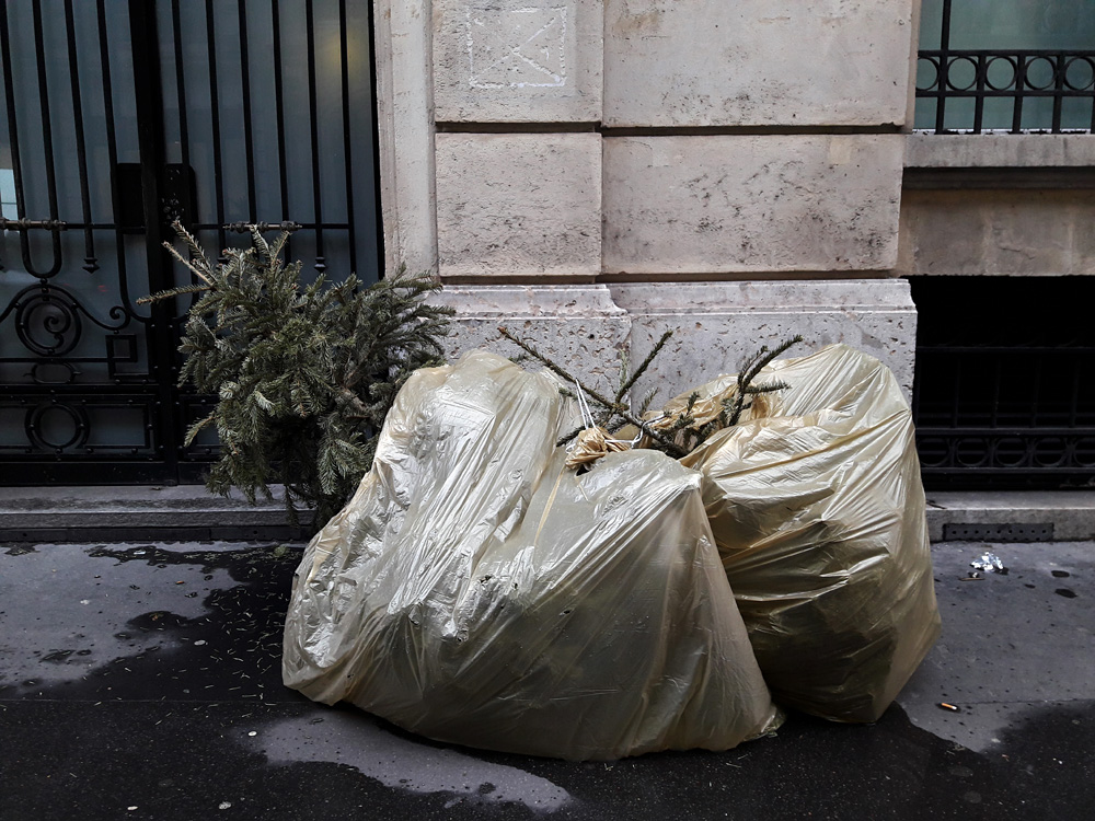 Every year the same again