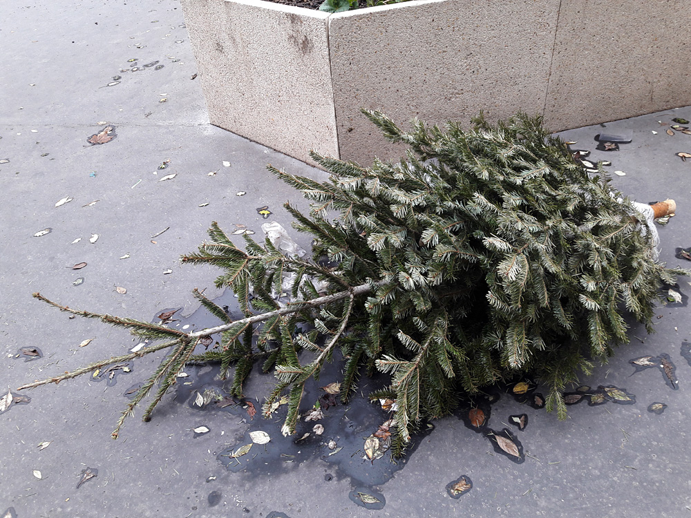 Every year the same again