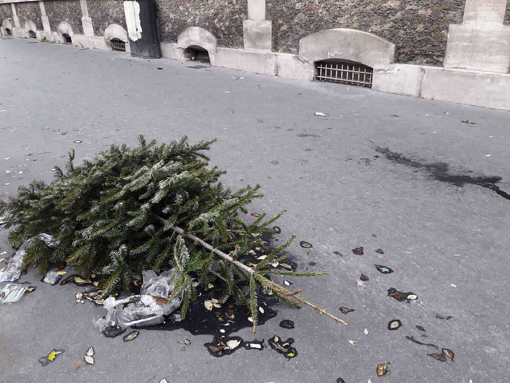 Every year the same again