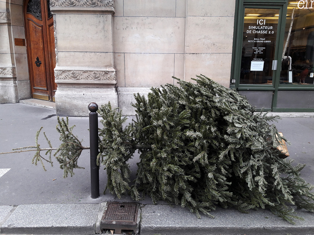 Every year the same again