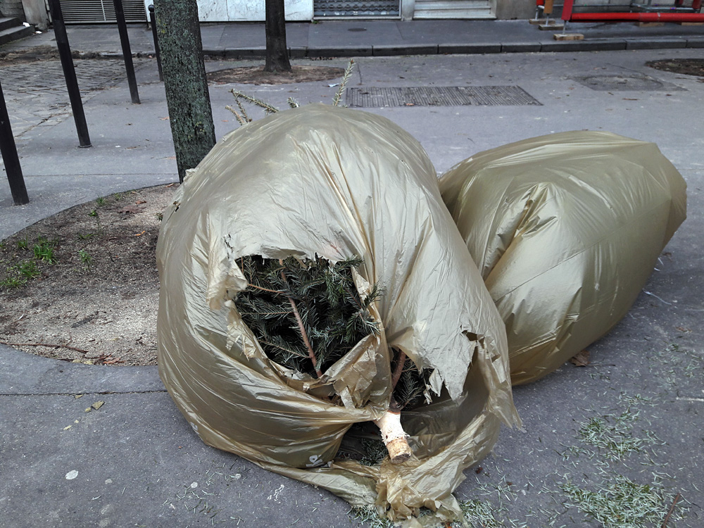 Every year the same again