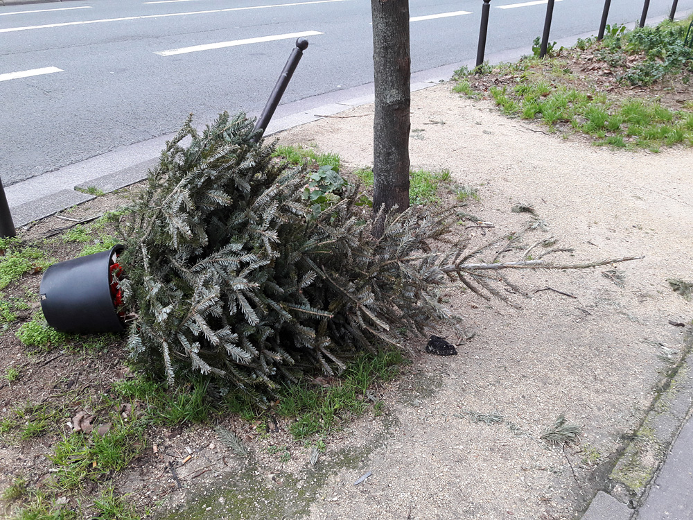 Every year the same again