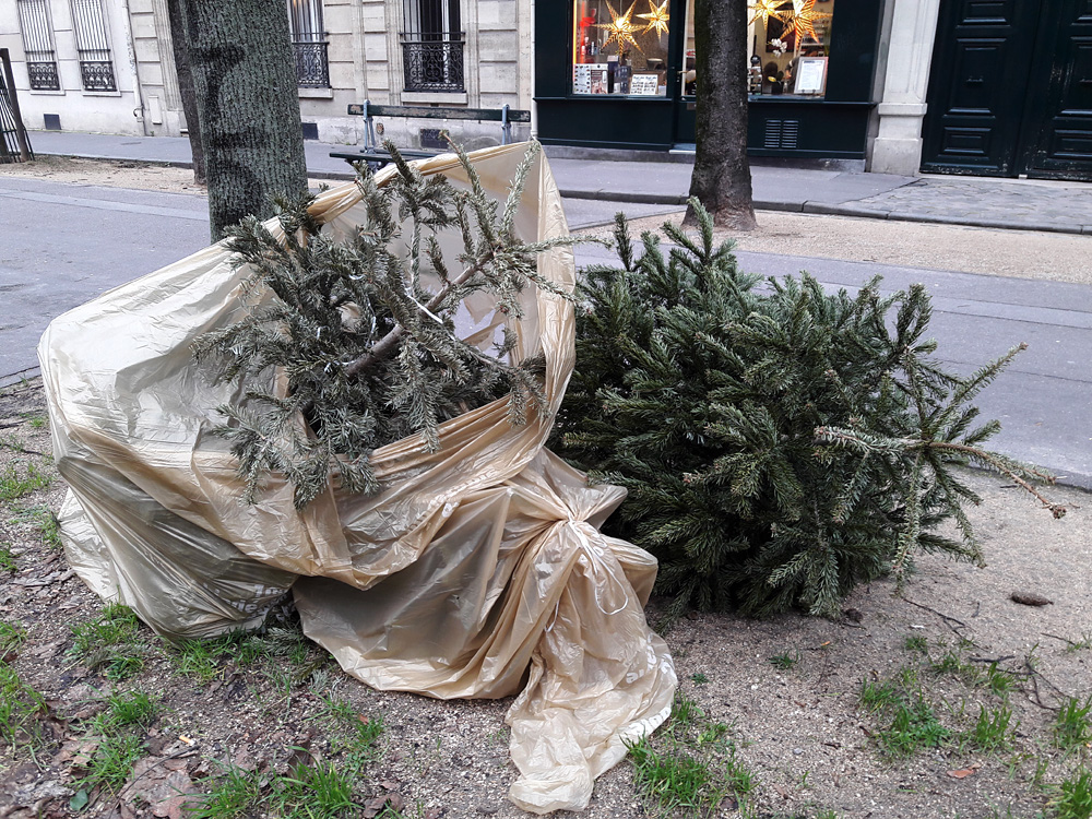 Every year the same again