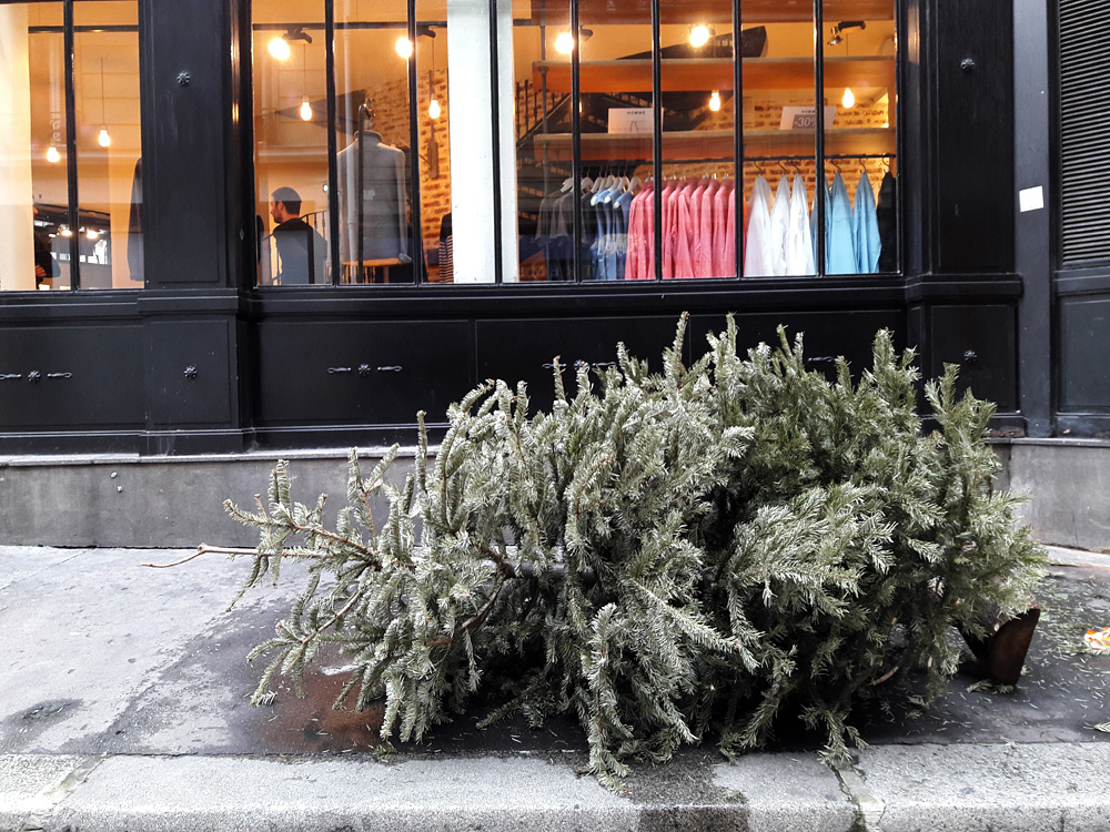 Every year the same again