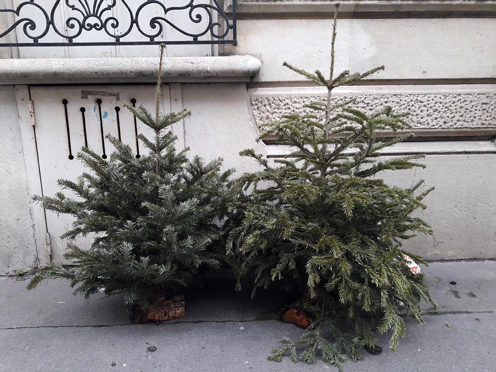 Every year the same again