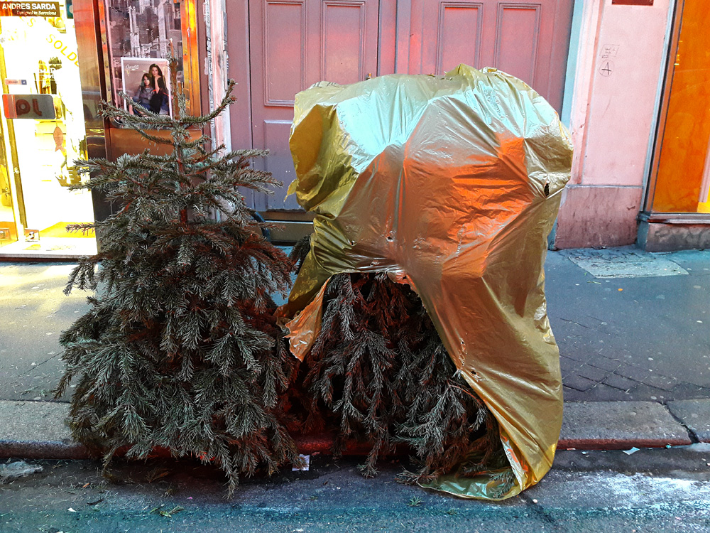 Every year the same again