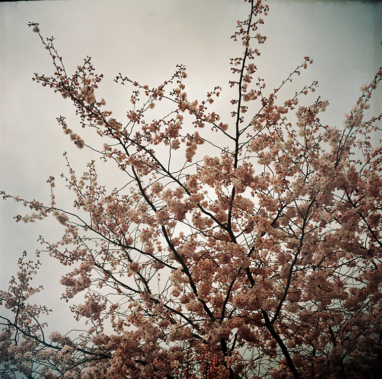 What's left of our love