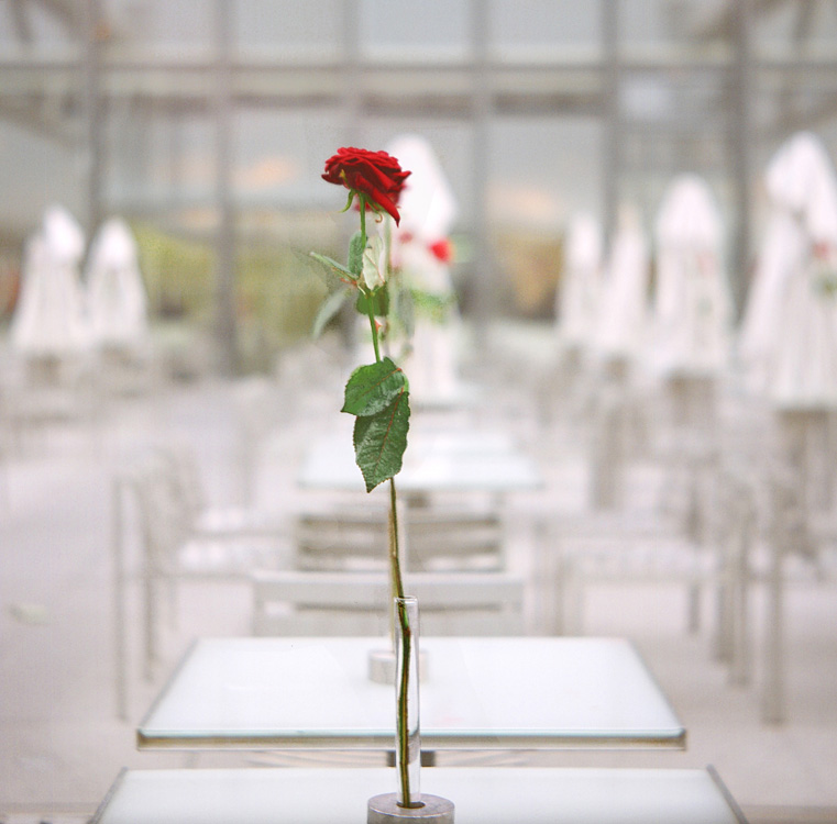 What's left of our love