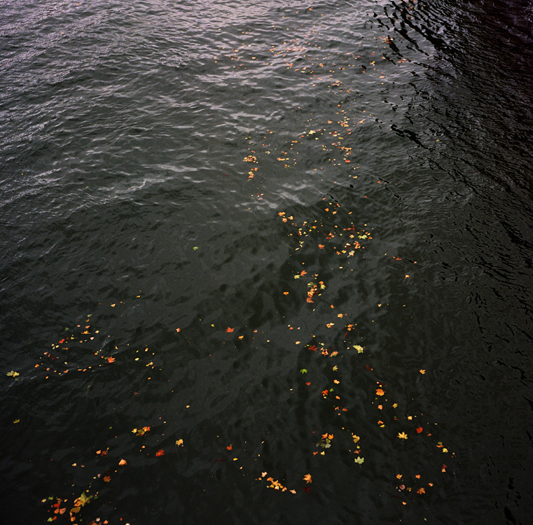 What's left of our love