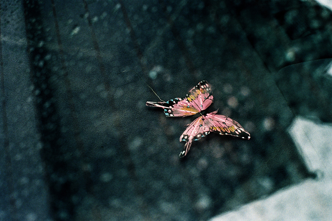 What's left of our love