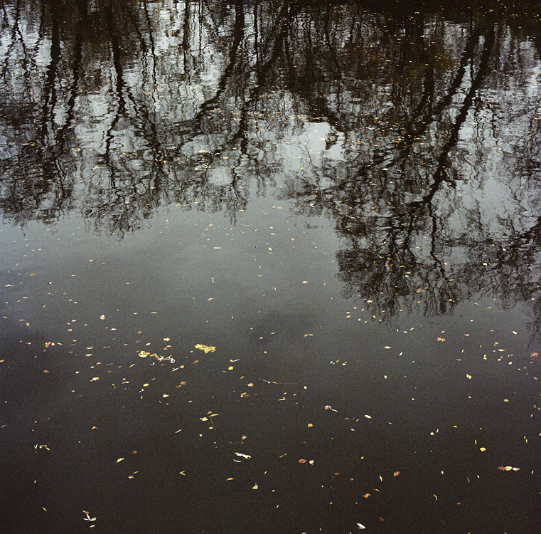 What's left of our love