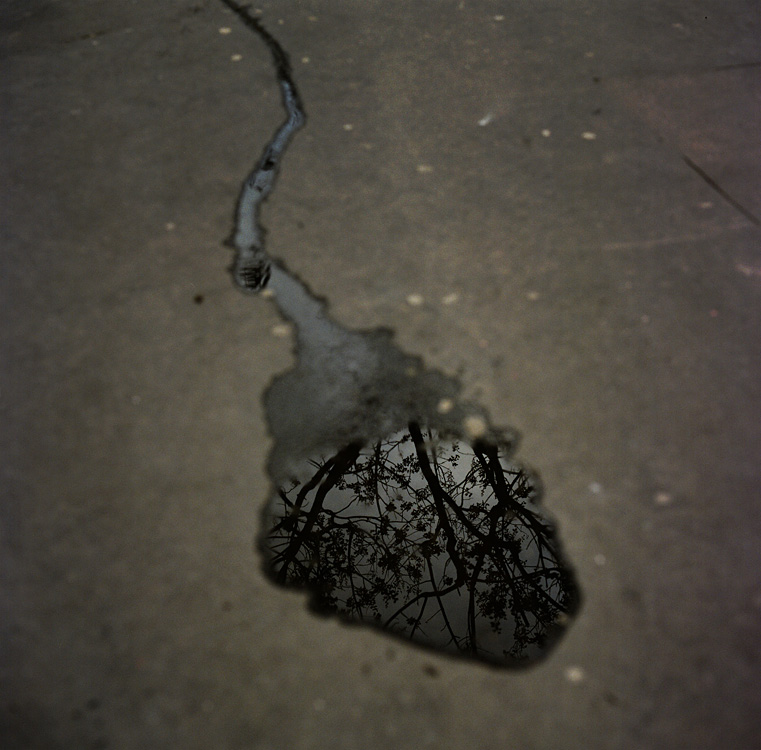 What's left of our love