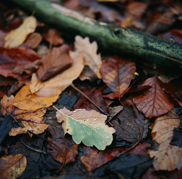 What's left of our love