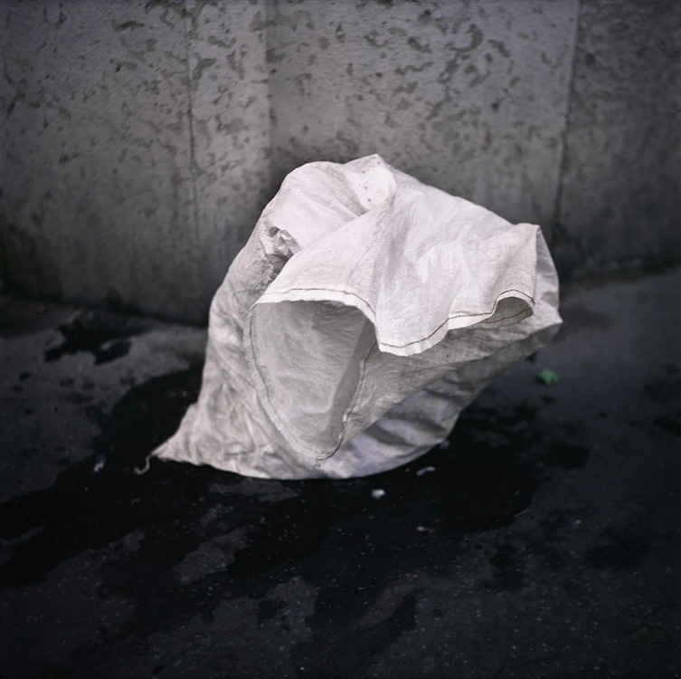 What's left of our world