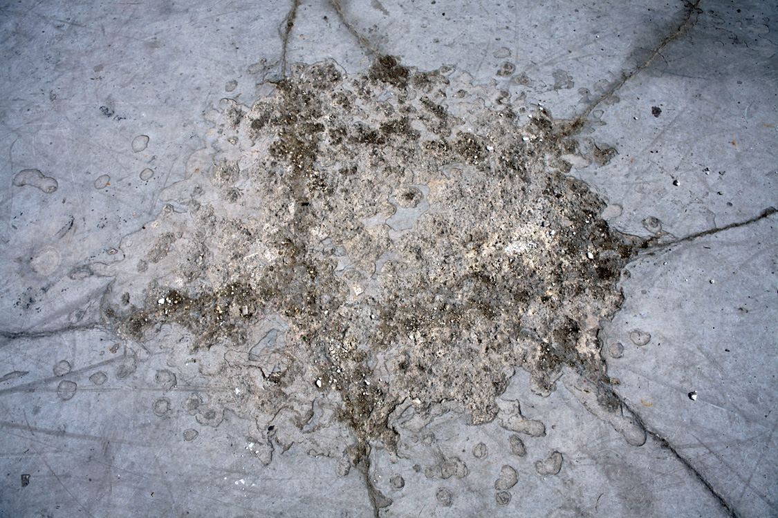 What's left of our world