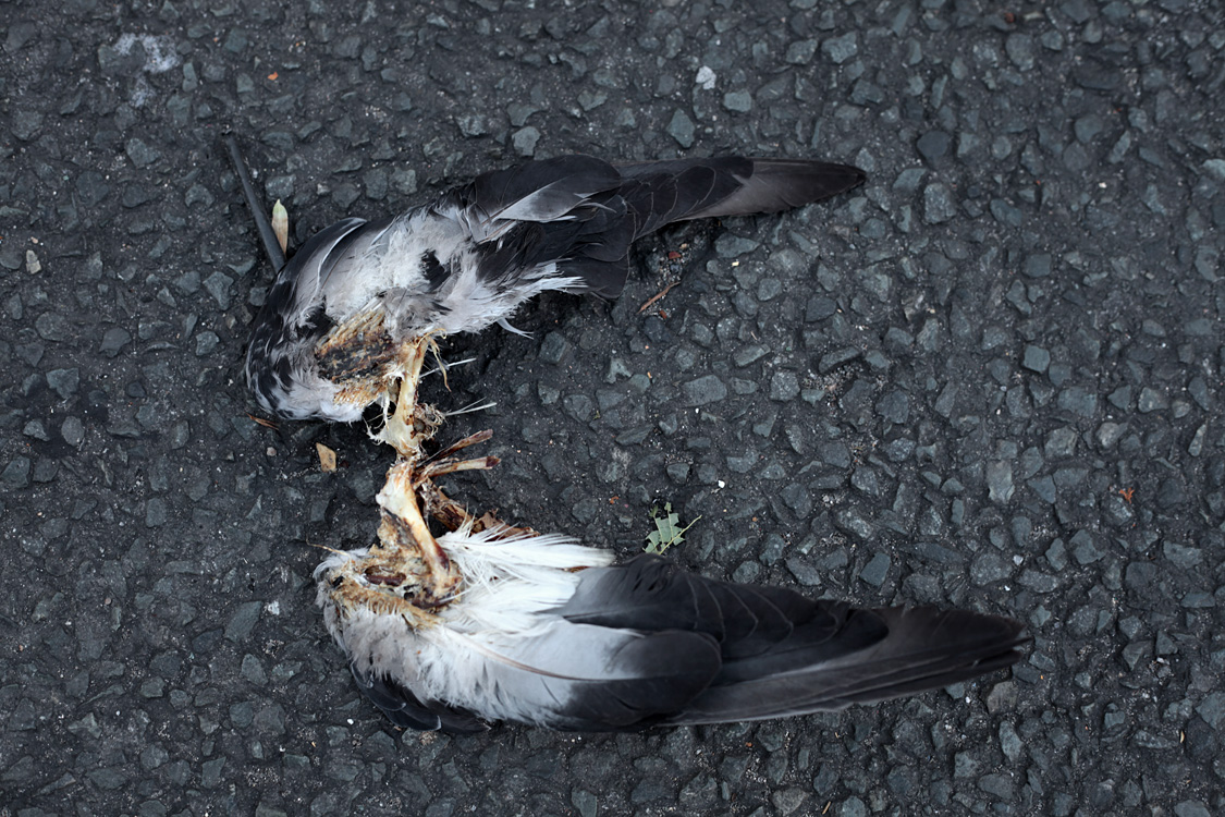 What's left of our world