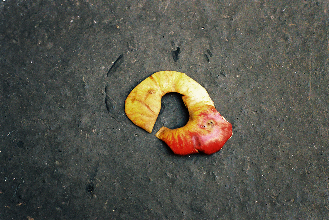 What's left of our world