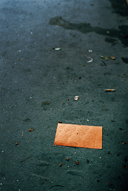 What's left of our world