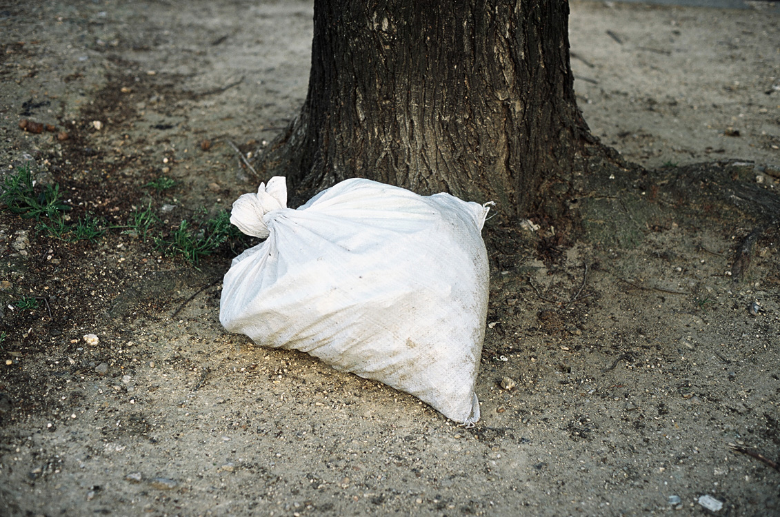 What's left of our world