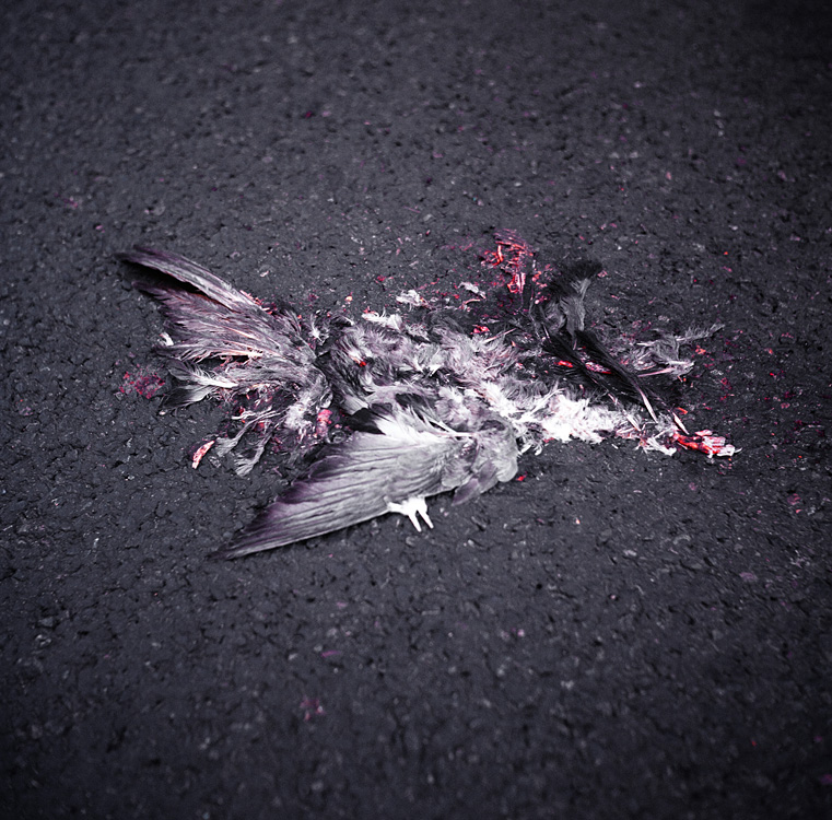 What's left of our world