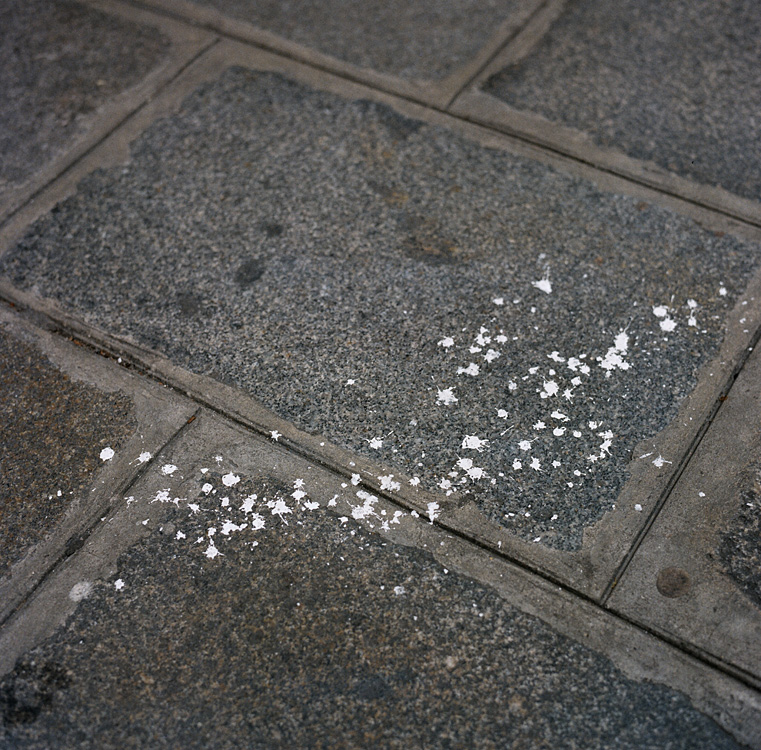 What's left of our world