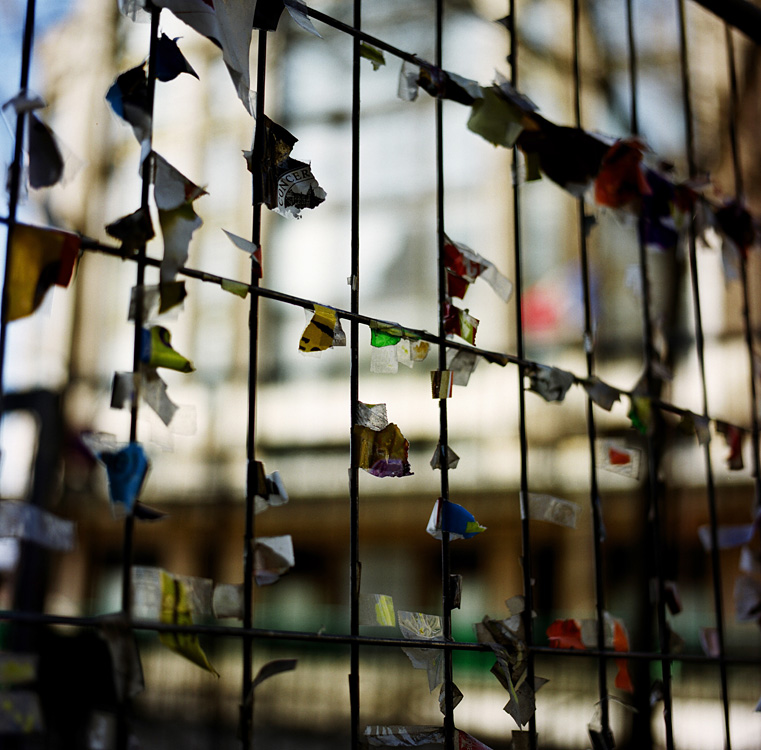 What's left of our world