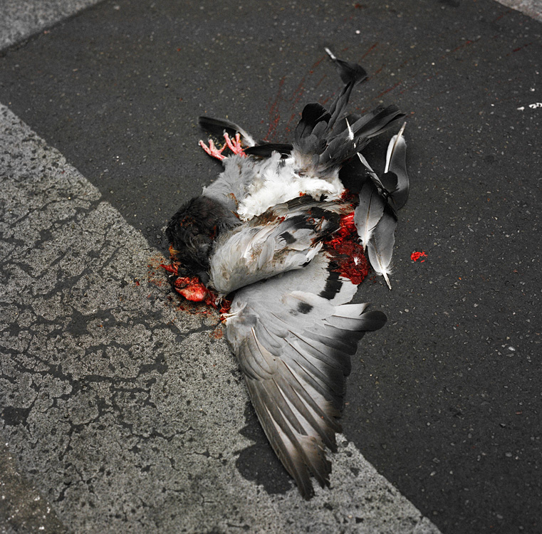 What's left of our world