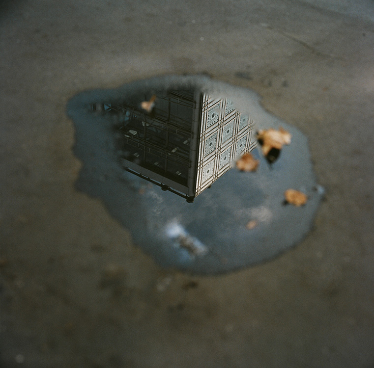 What's left of our world