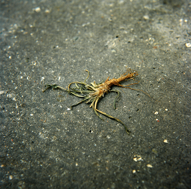 What's left of our world