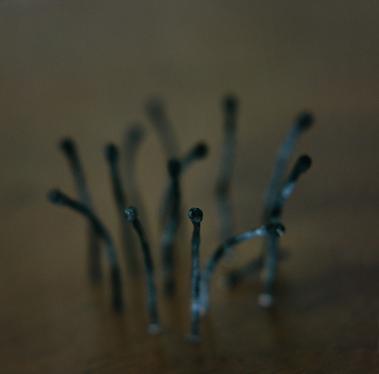 What's left of our world