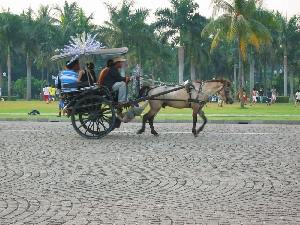 Java-Bali, 2004