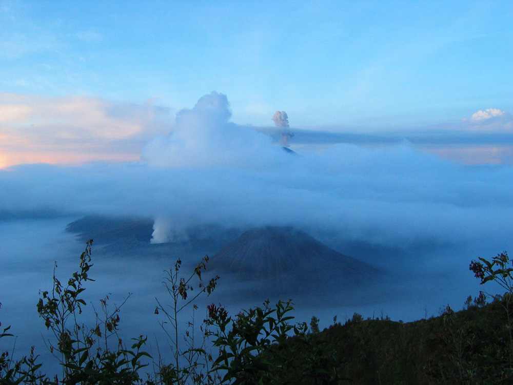 Java-Bali, 2004