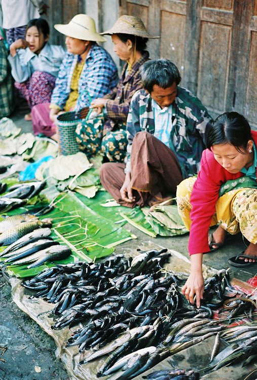 Lac Inl� - Au march�