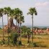 Bagan