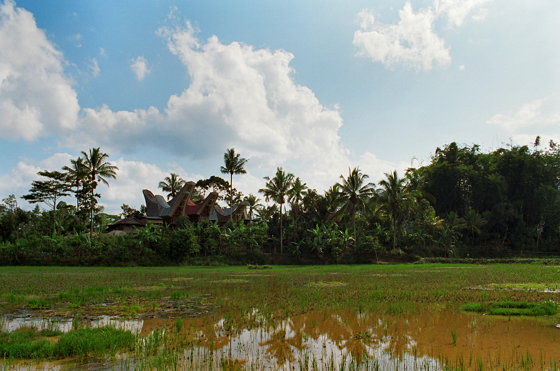 Pays Toraja / Village traditionnel.