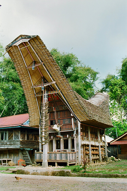 Pays Toraja / Maison traditionnelle.