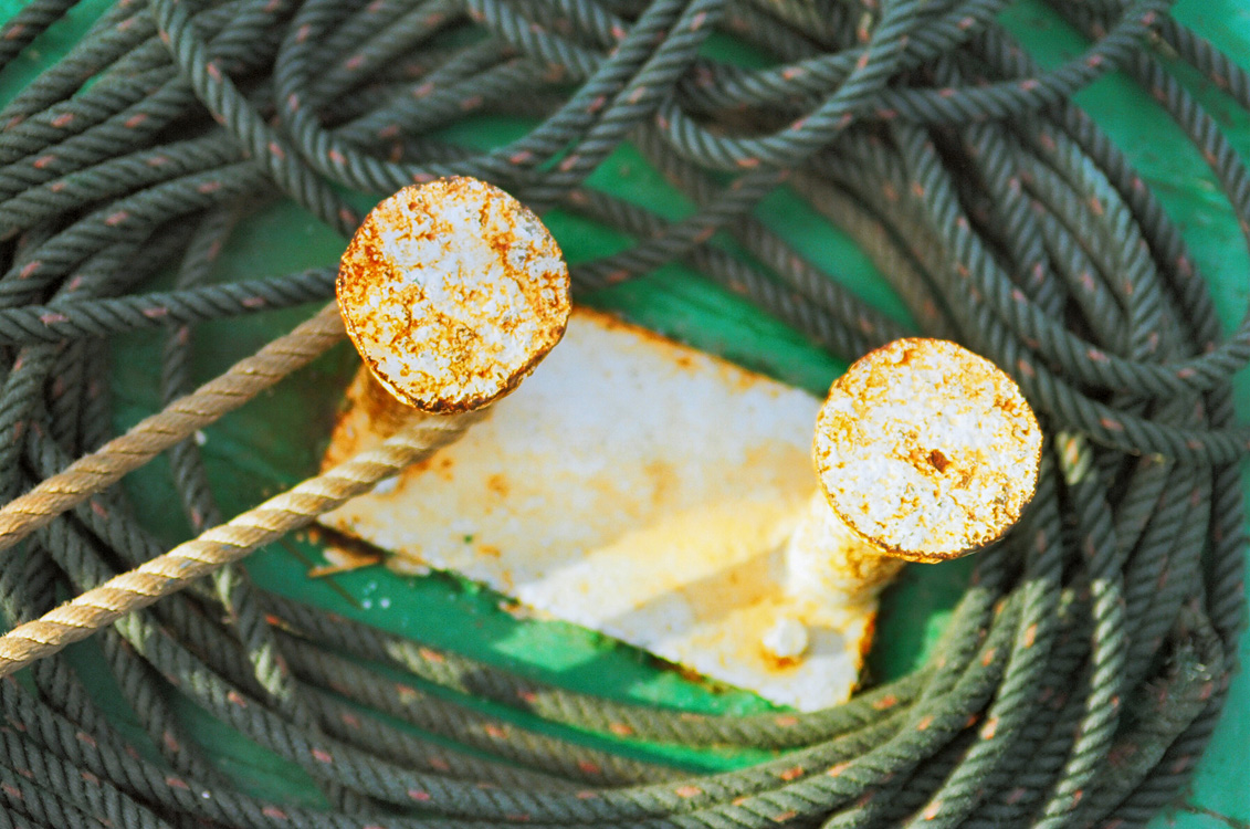 Iles Togian / Nature morte.