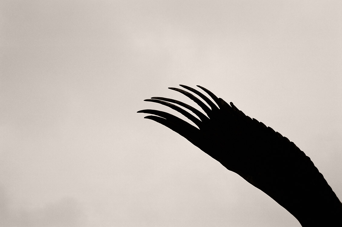 Budapest, december 2006