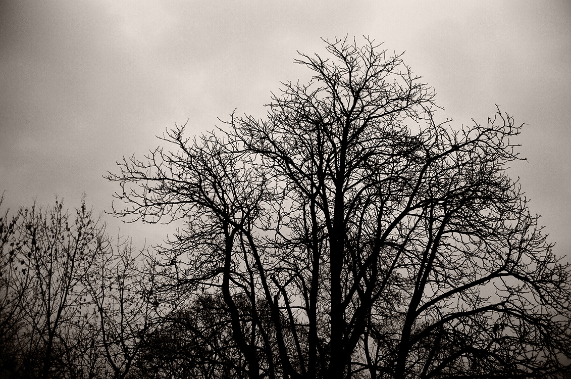 Budapest, december 2006