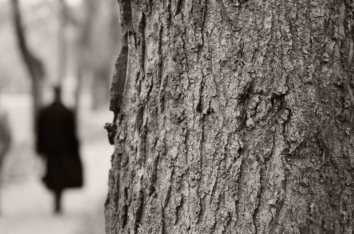 Budapest, december 2006