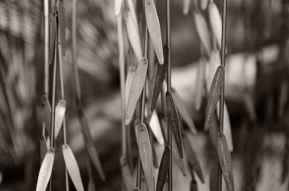 Budapest, december 2006