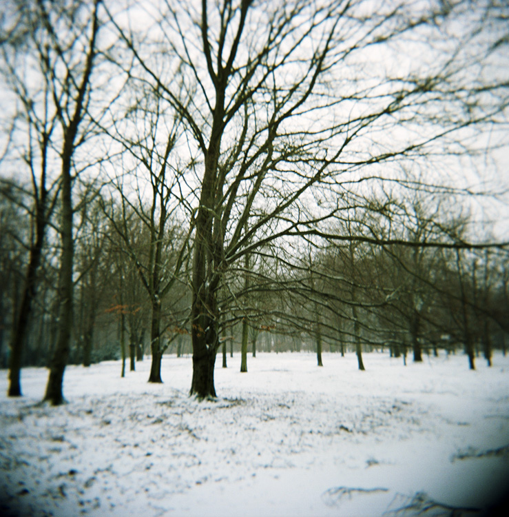 Berlin, january 2007 / holga