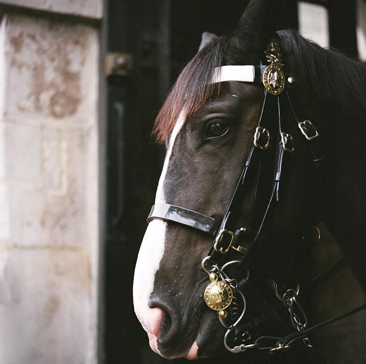 London, september 2007