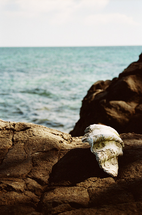 Malaysia, Borneo, 2008